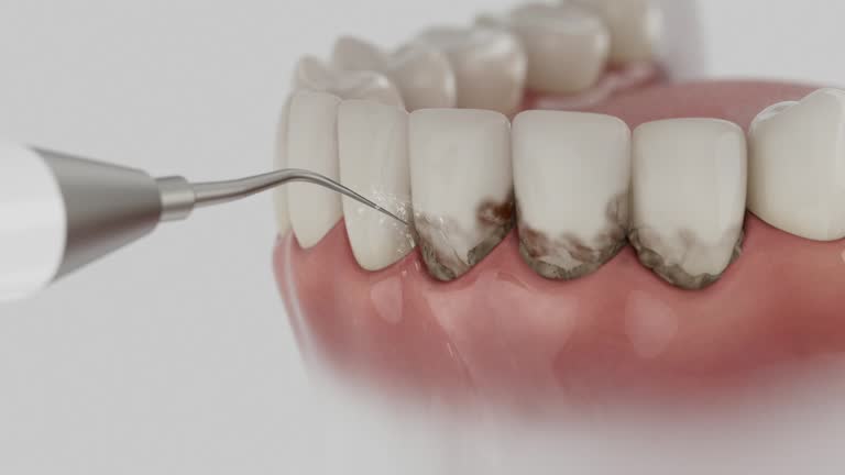 Reliable Dental contractor in Dunbar, WV by Dentist Open Now